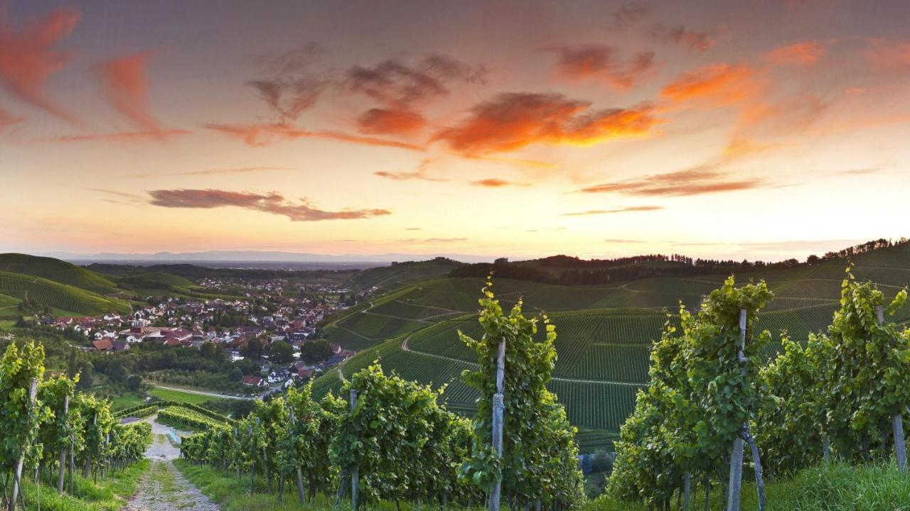 Hotel Ritter Durbach Eksteriør bilde